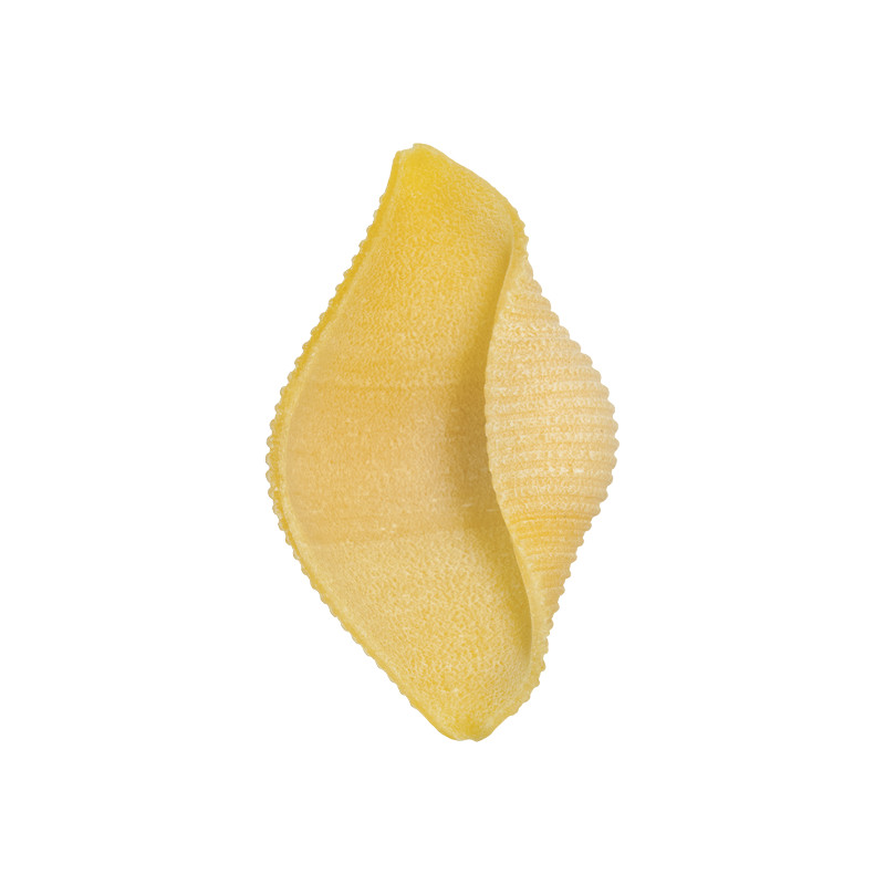 Rustichella d'Abruzzo Conchiglioni Pasta di Semola di Grano Duro